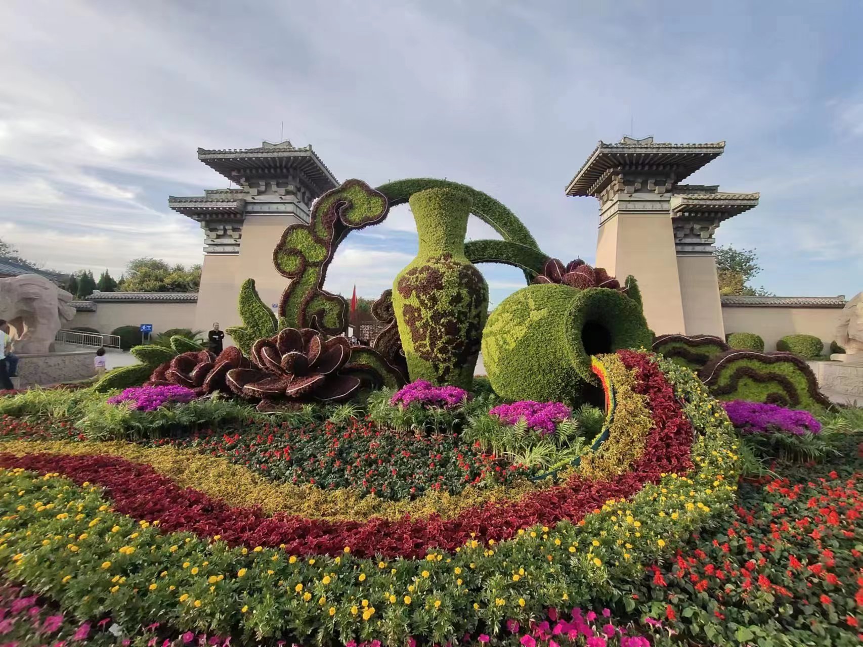 参展菊花作品 3